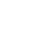 Nara Switch